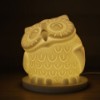 Wise Owl