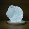 Picture of Sheep - Cute and Charming Keepsake