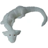 Falkor