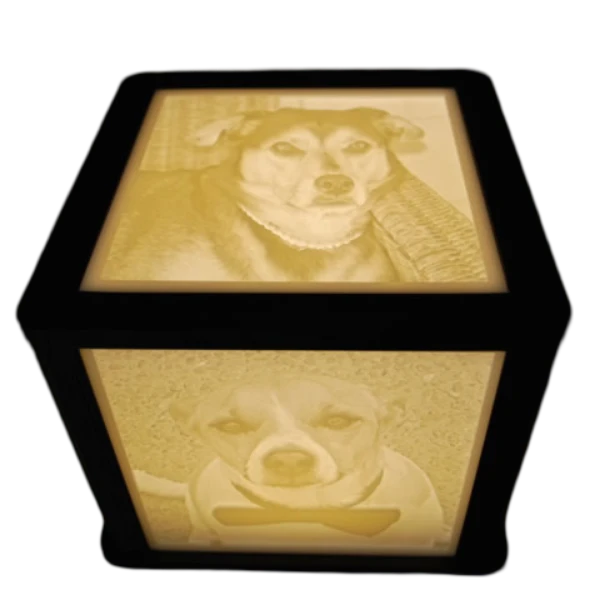 Memory Cube