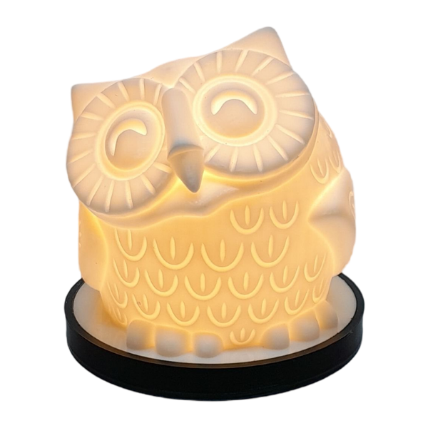 Wise Owl